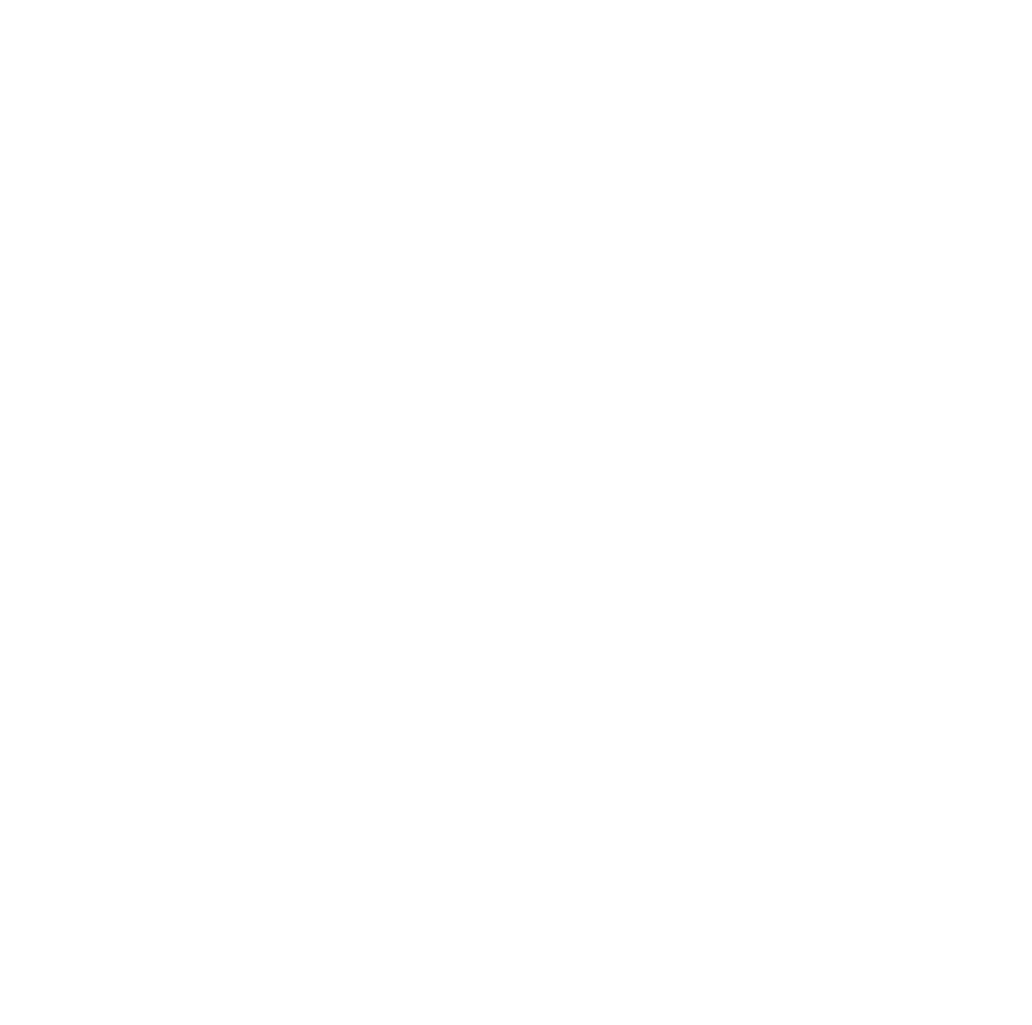 Macron logo dk